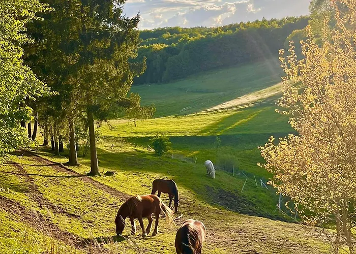 Amazing In With Wifi Nyaraló Prokowo